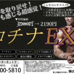 10代の昂りを取り戻せ ギコチナEX