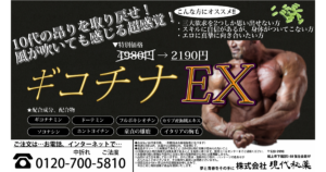 10代の昂りを取り戻せ ギコチナEX