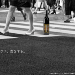 タピオカ焼酎『粒道楽』